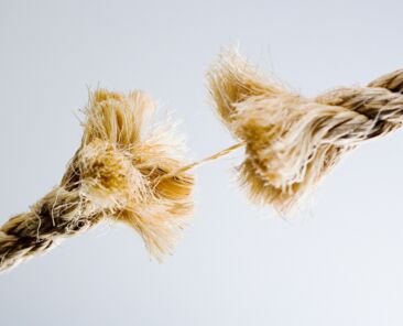 loyalty program audit