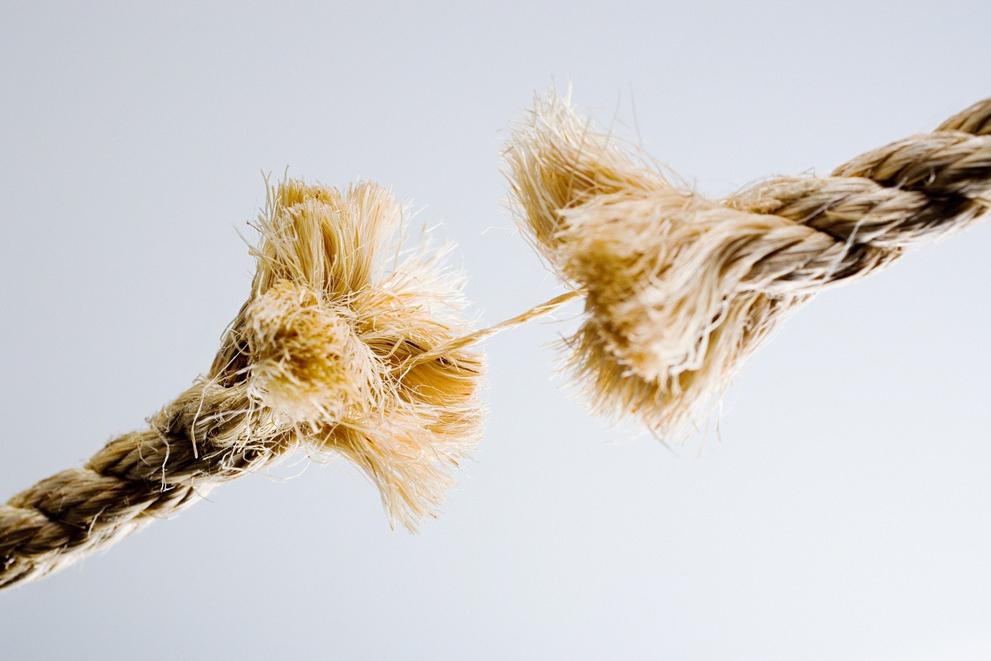 assess-for-success-conduct-a-loyalty-program-audit