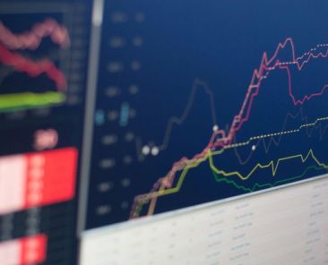 Hold Your Loyalty Financial Models Feet to the Fire