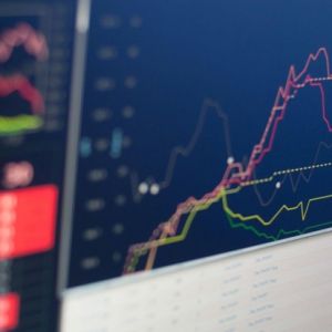 Hold Your Loyalty Financial Models Feet to the Fire