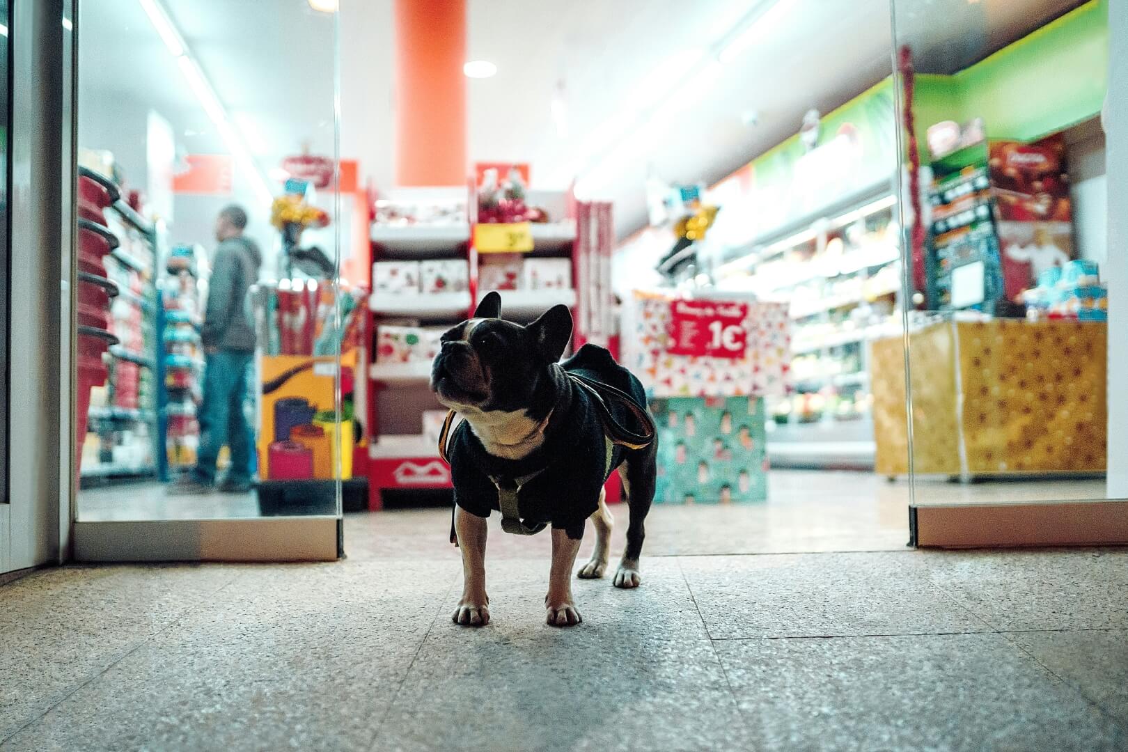 the-new-cpg-loyalty-playbook-connected-packaging-sustainability-and-ai-personalization